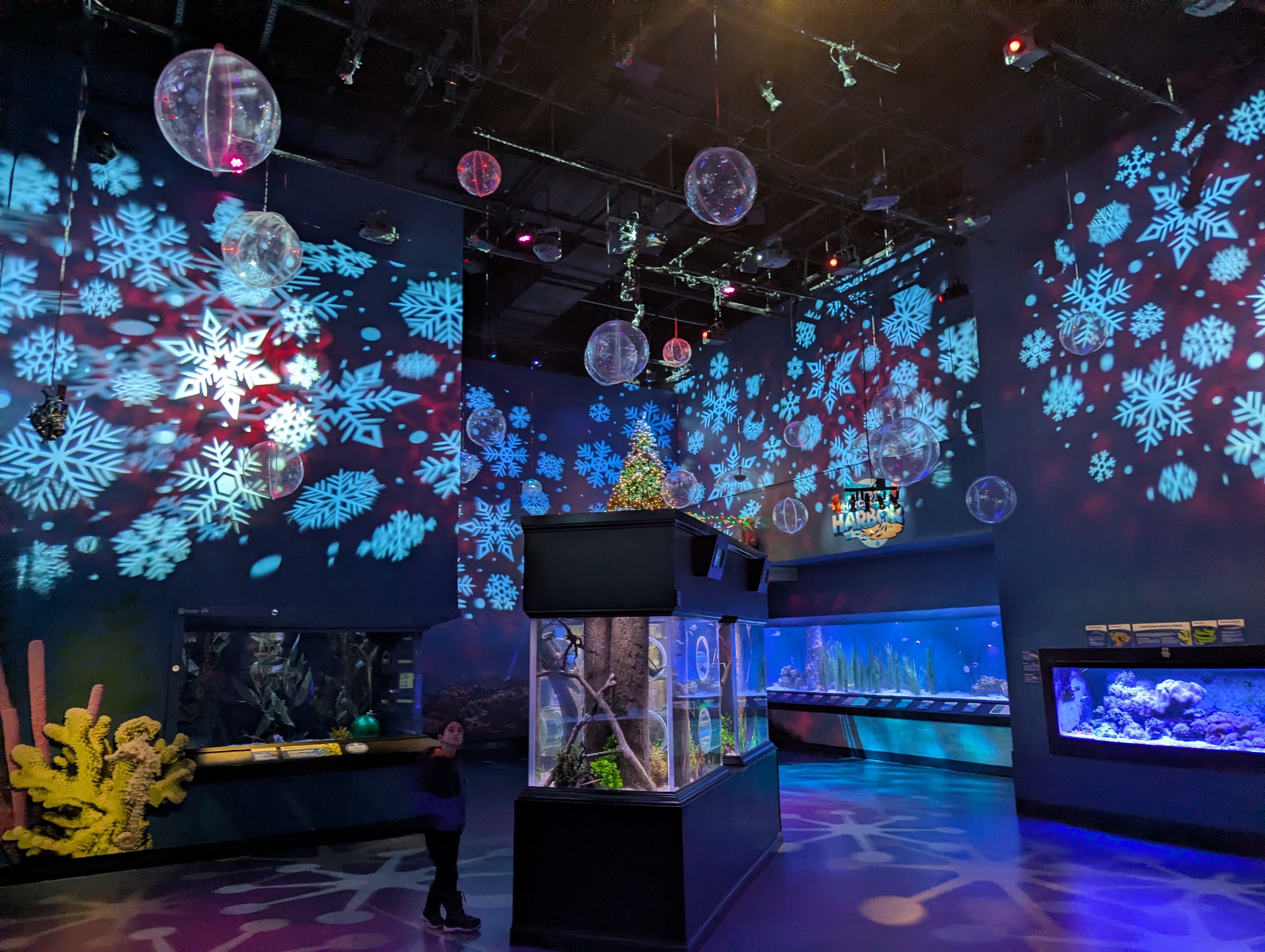 Newport Aquarium - Scuba Santa's Water Wonderland